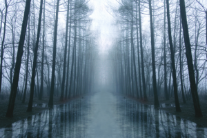 Работа 3151566