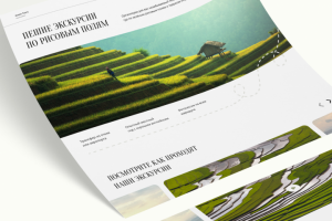 Пешие экскурсии по рисовым полям