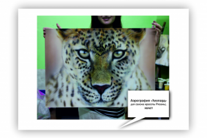 Работа 4141940