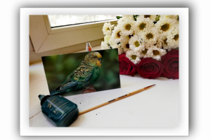 Работа 4141937