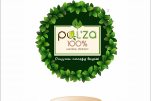 Работа 4171603