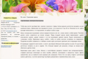 Карликовые, низкорослые ирисы