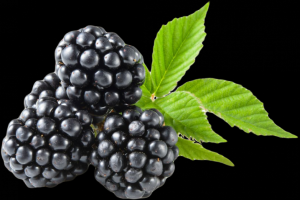 Вот оно, волшебное растение для женщин…