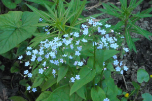 Как сделать пребывание на даче комфортным