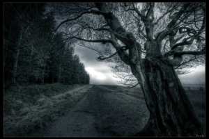 Мертвая долина