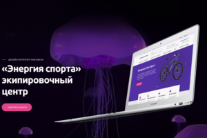 Дизайн интернет-магазина "Энергия спорта" 2016