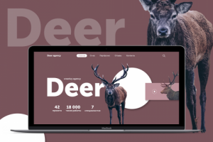 Дизайн первого экрана для веб-студии