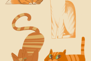 Поиск персонажа