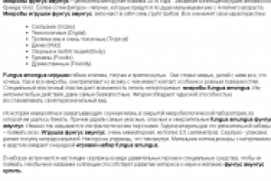 Волшебные платки в форме крыльев бабочек