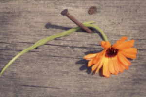 Одиночество