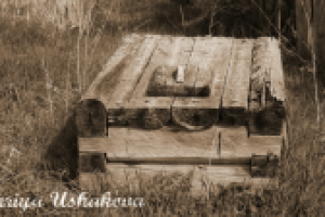 Колодезное соло