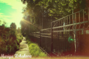 Работа 2878062