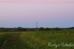 Работа 2878057