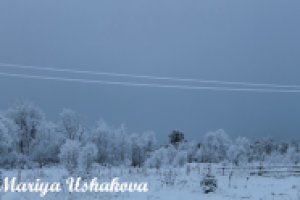 Работа 2878052