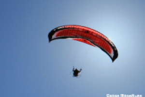 Работа 2878050