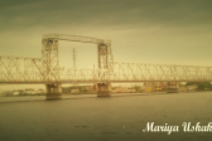 Работа 2878042