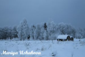 Зимний вечер