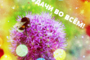 Открытки из моих фотографий