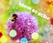 img2877888.png