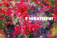 Открытки из моих фотографий