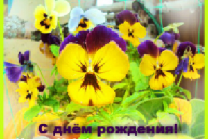 Открытки из моих фотографий