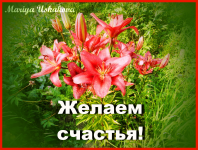 Открытка