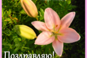 Поздравляю