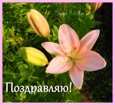 img2877880.png