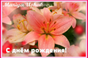 Открытки из моих фотографий