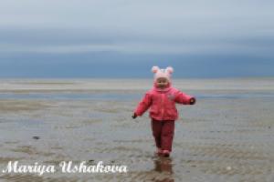 Работа 2878074