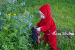 Работа 2878071