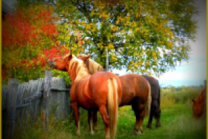 Обработка фото