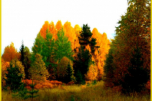 Обработка фото