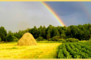 Работа 1700553