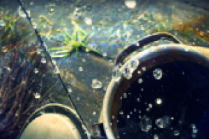 УЛУЧШЕНИЕ ФОТО