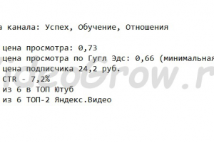 Кейс по каналу про Успех