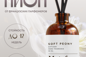 Инфографика