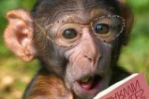 Загадки детям.