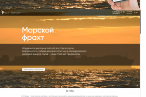 Lending page SLC-SERVICE