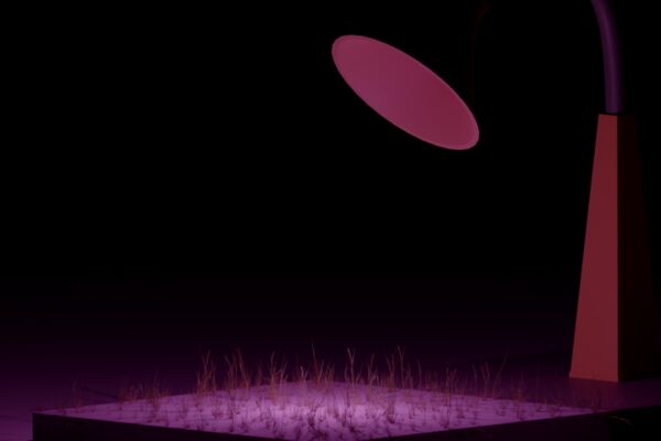 img4478047.png