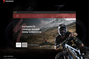 Интернет-магазин