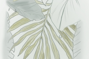 Обои для интерьера