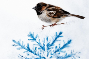 Сказка (часть)