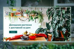 Green House — Сайт доставки домашних растений