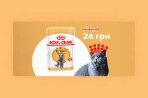 Баннер для сайта товаров для животных