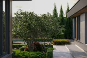 Территория честного жилого дома