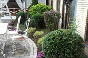 Дворик кафе. Владикавказ