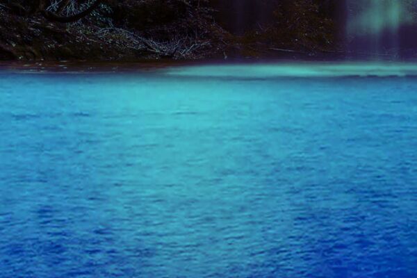 img4546721.png