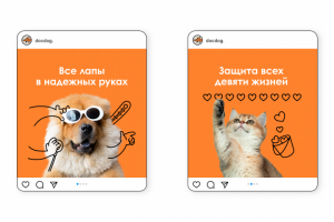 Оформление соц. сетей для "docdog."