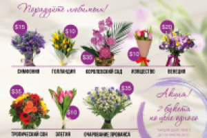 разработка дизайна буклета А5 (разворот)